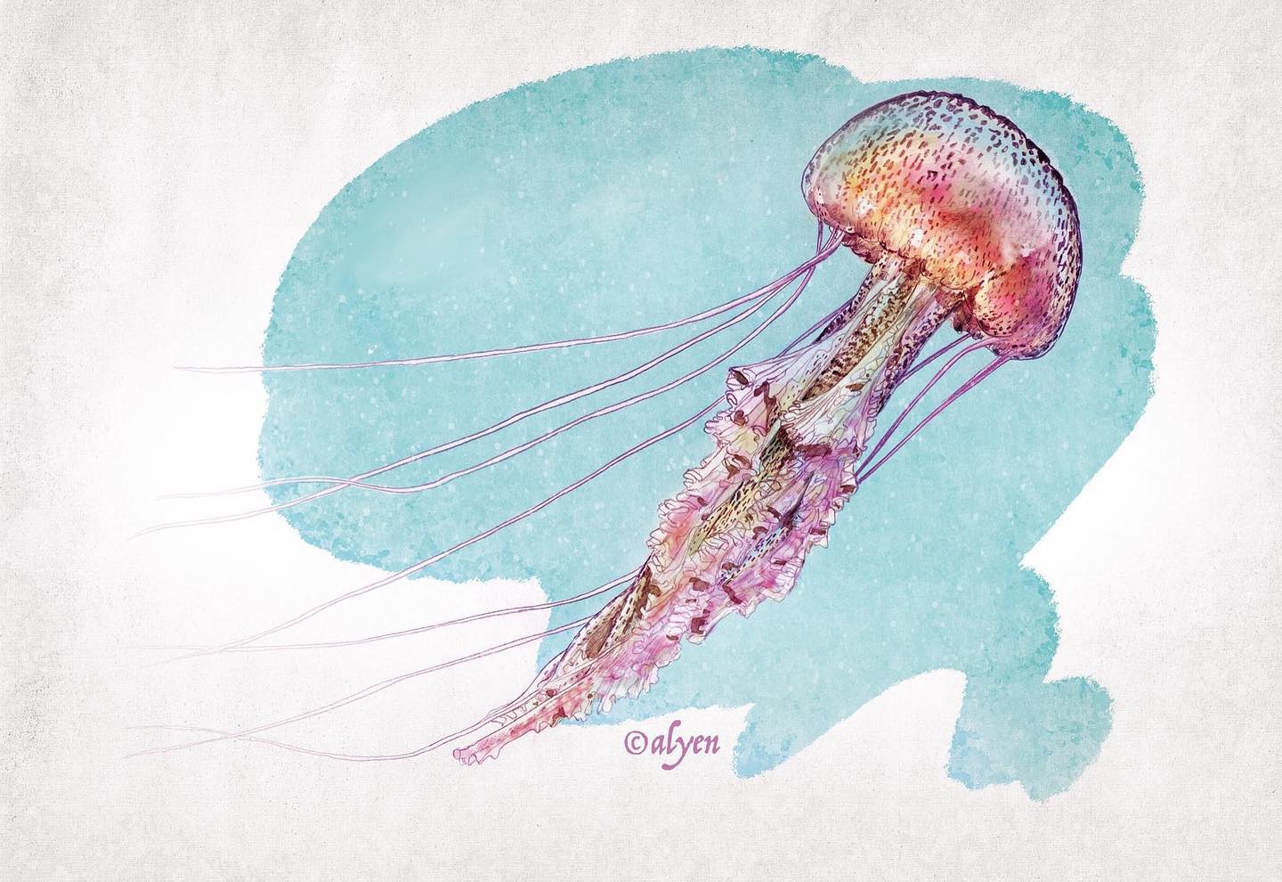 1 jour / 1 illustration :
Vendredi : Meduse ! 🌊🧜‍♀️🔥🔥
#MarseilleVilleNature #septembreenmer
illustration alyen©2021