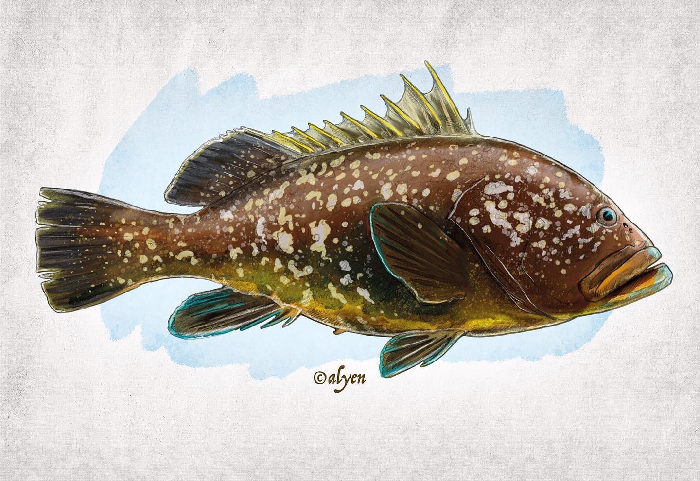 1 jour / 1 illustration :
Mardi : Mérou ! 🐟
#MarseilleVilleNature #septembreenmer
illustration alyen©2021